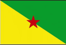 Yana Star Guyane GIF - Yana Star Guyane Guyane Flag GIFs