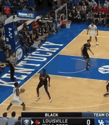 uk cats cards dunk diallo