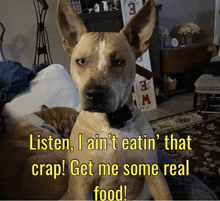 Feed Me Hungry GIF - Feed Me Hungry Eating GIFs