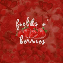 Fields Berries GIF - Fields Berries Fields O Berries GIFs