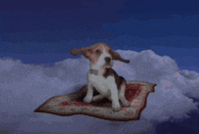 a dog is sitting on a carpet in the sky