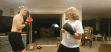 Ultimate Ryry Punch Caracal GIF - Ultimate Ryry Punch Caracal Boxing GIFs