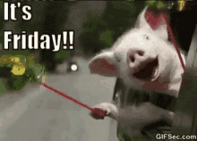 Its Friday Brad GIF - Its Friday Brad Porky GIFs