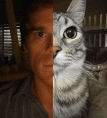 half of a man 's face and half of a cat 's face are shown