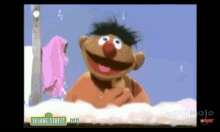 Sesame Street Ernie GIF - Sesame Street Ernie Duck GIFs