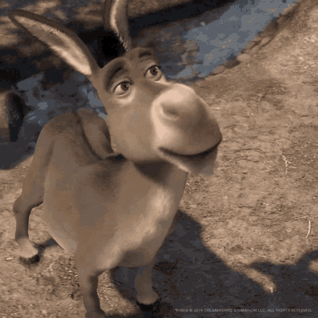No Donkeys GIF - No Donkeys Shrek GIFs