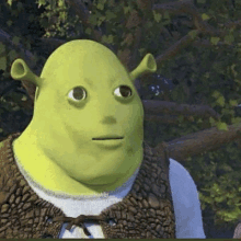 Shrek Shrek Meme GIF - Shrek Shrek Meme Shreck GIFs
