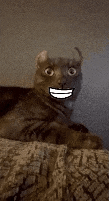 Bfdi Mouth Cat GIF - Bfdi Mouth Cat GIFs