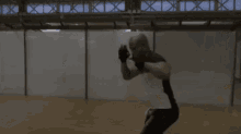 boxing boxer rohff shadow boxing