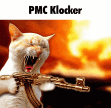 Pmc Klocker Cat GIF - Pmc Klocker Cat Ak 47 GIFs