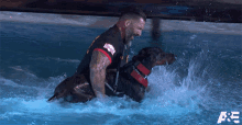 Swimming American Top Dog GIF - Swimming American Top Dog Dog GIFs