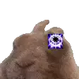 a close up of a stuffed animal with a purple square on its nose .