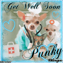 Get Well Soon Chihuahua GIF - Get Well Soon Chihuahua Feel Better GIFs
