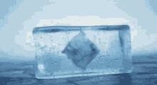 Test GIF