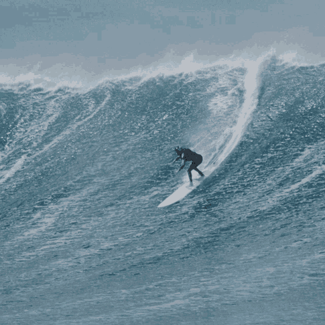 Surf GIF - Surf - Discover & Share GIFs