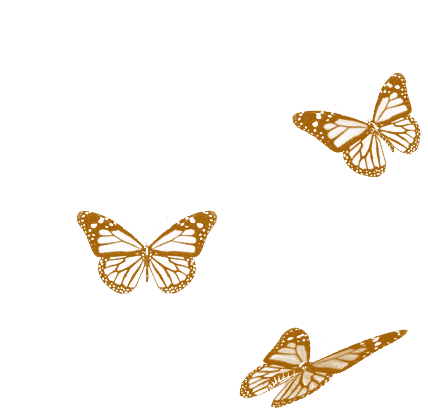 Borboletas Butterfly Sticker - Borboletas Butterfly Beautiful Stickers