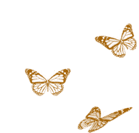 Borboletas Butterfly Sticker - Borboletas Butterfly Beautiful Stickers