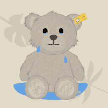 teddy sad