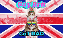 a cat wearing rainbow glasses is standing in front of a british flag that says gay brit cat dad