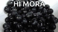 Mora Starlow GIF - Mora Starlow Hi GIFs