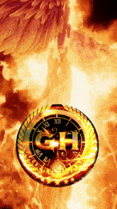 Goldenh14 GIF - Goldenh14 Goldenh GIFs