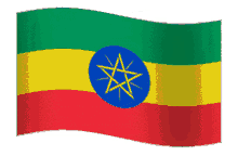 habesha amharic