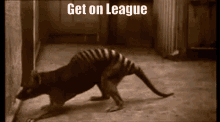 League Of Legends Thylacine GIF - League Of Legends Thylacine GIFs