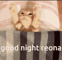 Reona Goodnight Reona GIF - Reona Goodnight Reona Shibuyadoll GIFs