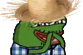 a frog wearing a straw hat and plaid pants