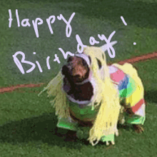 Happy Birthday Dachshund GIF - Happy Birthday Dachshund Unicorn GIFs