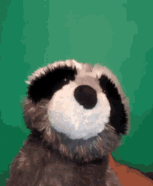 Raccoon Shake GIF - Raccoon Shake Plus Toy GIFs