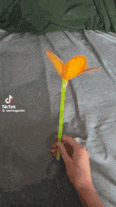 a person is holding an orange flower with a green stem on a bed
