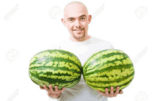 What Melons You Have GIF - What Melons You Have GIFs