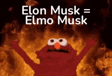 elmo from sesame street is standing in front of a fire and says elon musk = elmo musk