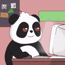 Pandoro Panda GIF - Pandoro Panda Nice GIFs