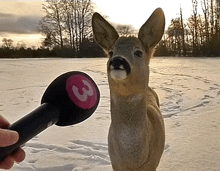 a person is holding a microphone with the number 3 on it in front of a deer