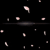 a blurry image of petals falling with the word di written in blue