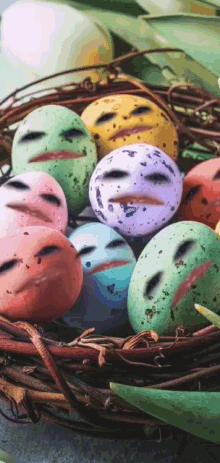 Gekleurd Eggs GIF - Gekleurd Eggs Smiley GIFs