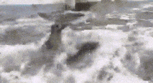 a black and white photo of a deer walking through the snow .