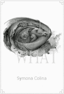 Symona Colina What GIF - Symona Colina What Whatever GIFs