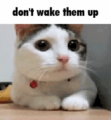 Don'T Wake Them Up GIF