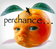an orange with a baby 's face and the word perchance on it