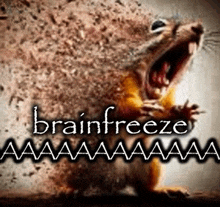 a picture of a squirrel with its mouth open and the words brainfreeze
