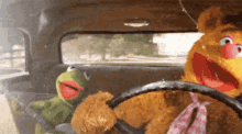 drive happy but carefree kermit muppets drive driving