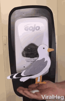 seagull hand sanitizer viralhog sanitizer seagull