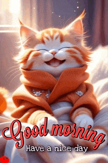 a cat wearing a sweater and scarf is sitting on a bed and smiling .