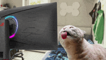 a cat sticking its tongue out in front of a computer monitor that says rog