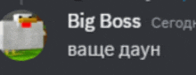 a chicken with a red beak is in a circle with the words big boss behind it .