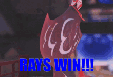 Tampa Bay Rays Rays GIF - Tampa Bay Rays Rays Tampa Bay Rays Win GIFs
