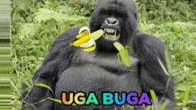 Muz Banana GIF - Muz Banana Goril GIFs